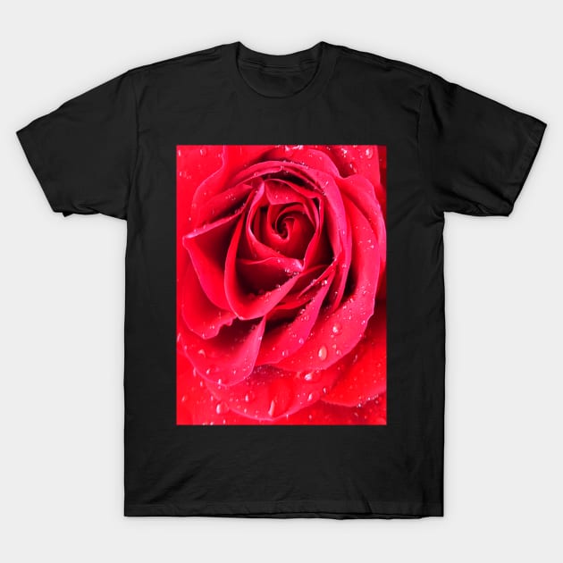 Rose T-Shirt by TotalnoobMLG